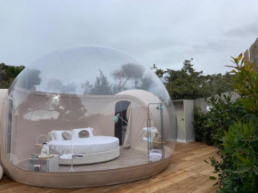 Bubble Room Tuscany Marina Di Bibbona